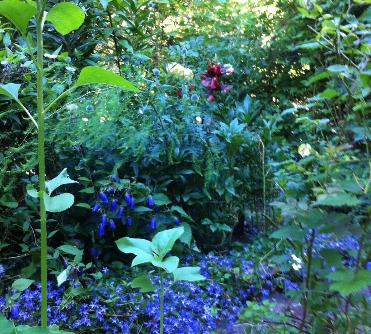 Gabriola Cottage With Gorgeous Garden Near Ocean Holiday home